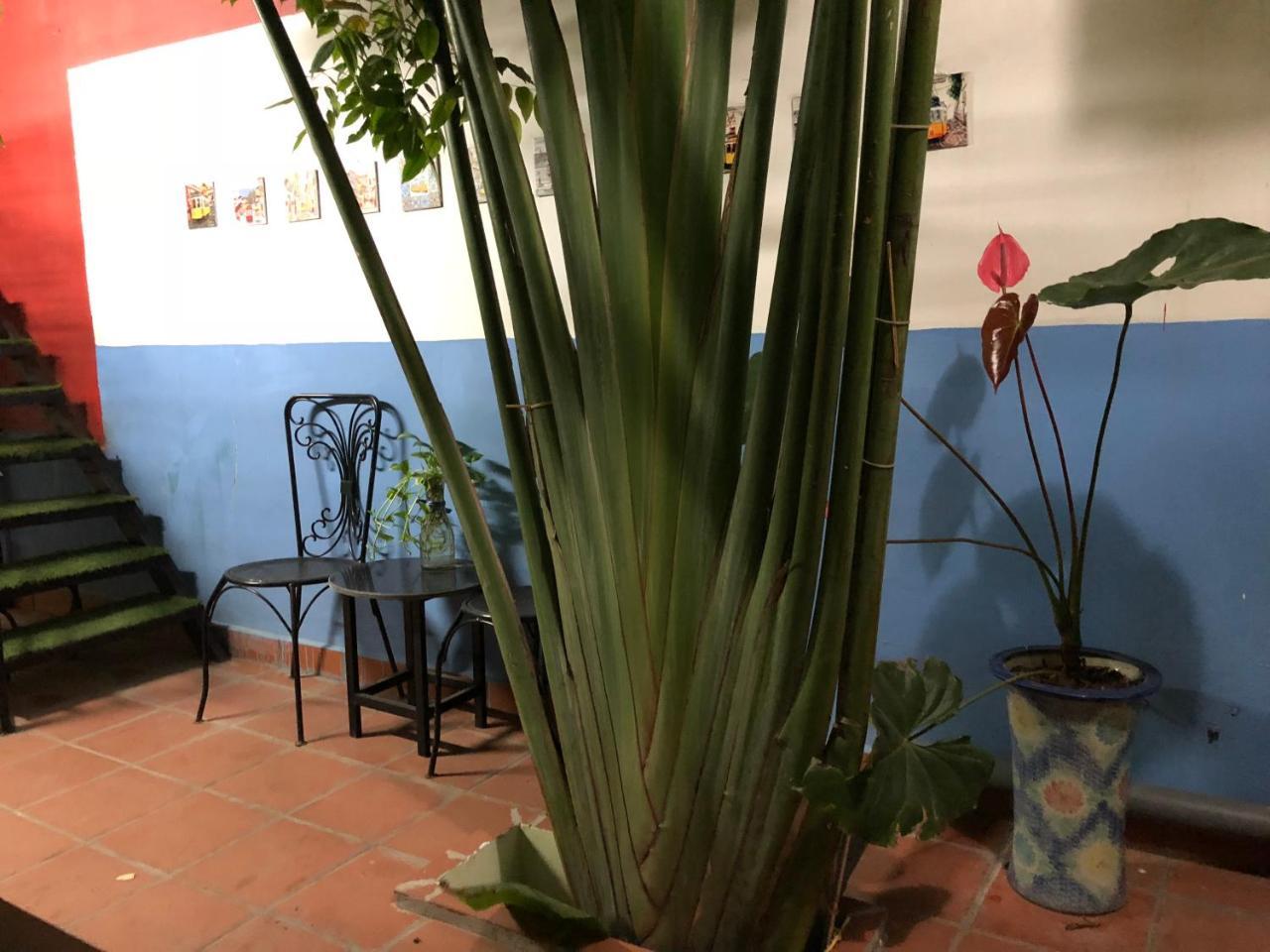 شقة Ventana House هاي فونج المظهر الخارجي الصورة